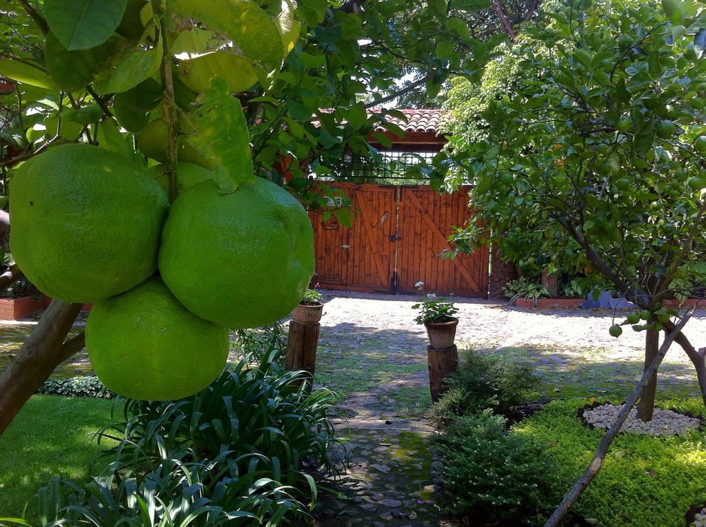 Casa Navacoyan Bed and Breakfast Malinalco Buitenkant foto