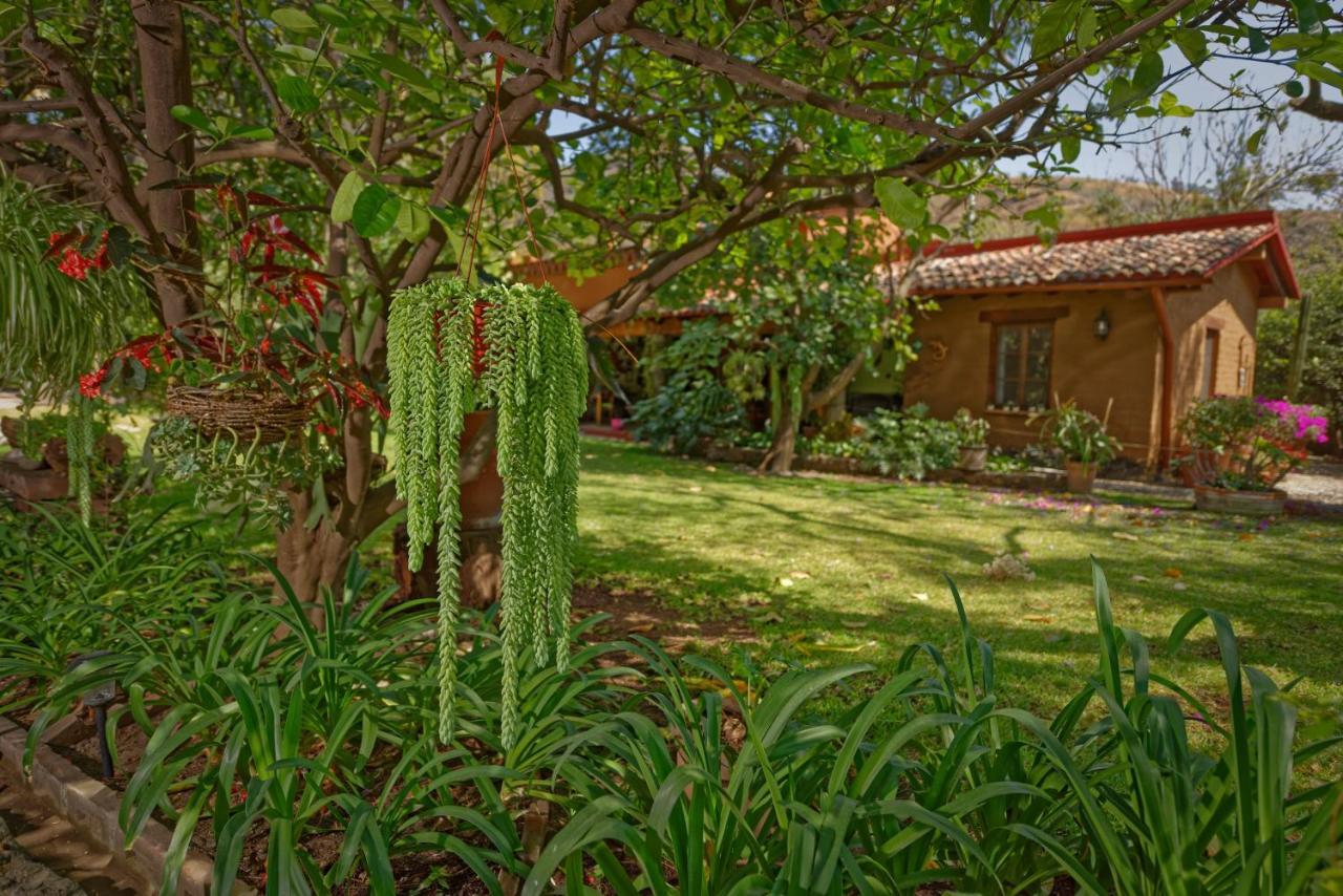 Casa Navacoyan Bed and Breakfast Malinalco Buitenkant foto